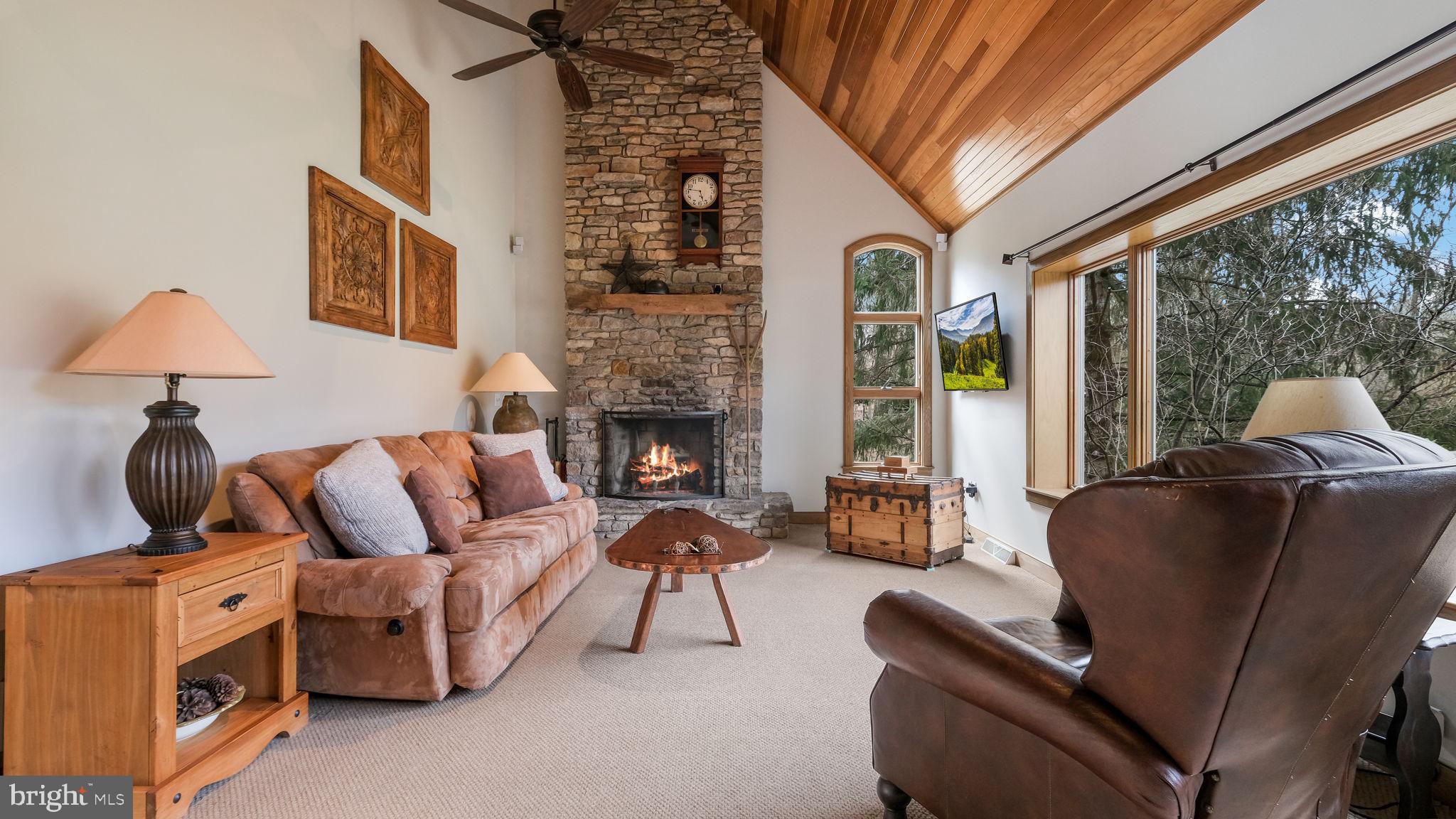 46 Valley Road New Hope, PA 18938 - Photo 9 of 56 a living room with furniture and a fireplace