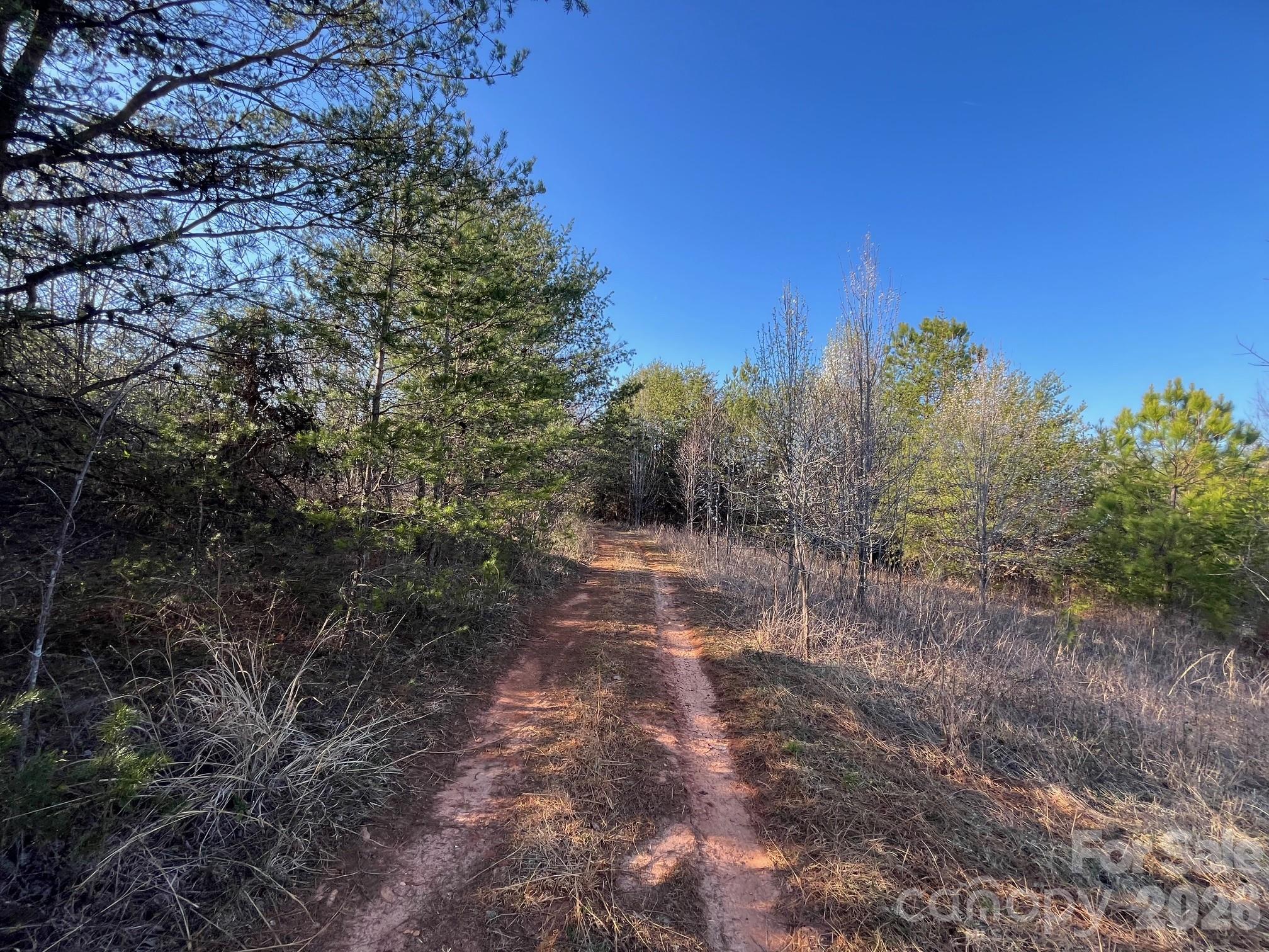 Tbd Southern Way Nebo, NC 28761 - Photo 21 of 22