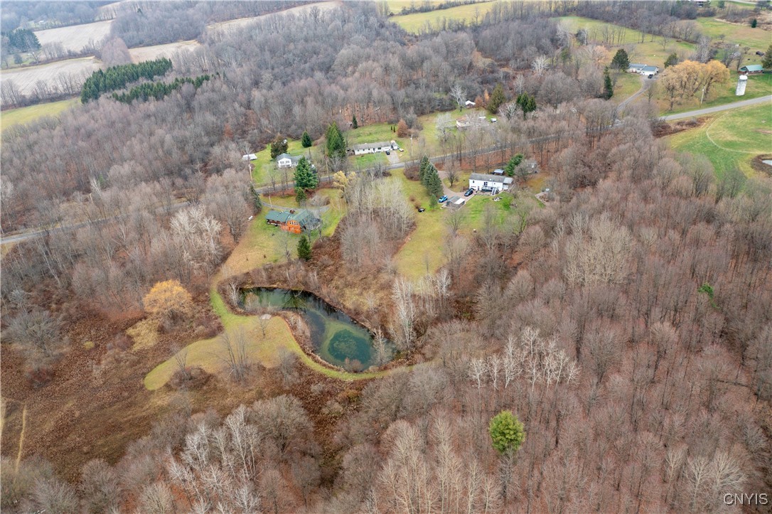 5472 Booth Road Locke, NY 13092 - Photo 3 of 44