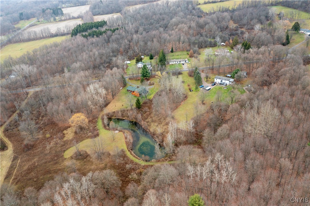 5472 Booth Road Locke, NY 13092 - Photo 4 of 44