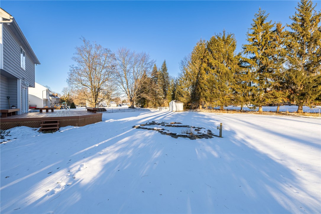 362 Webster Road Webster, NY 14580 - Photo 39 of 46 Fully stocked goldfish pond