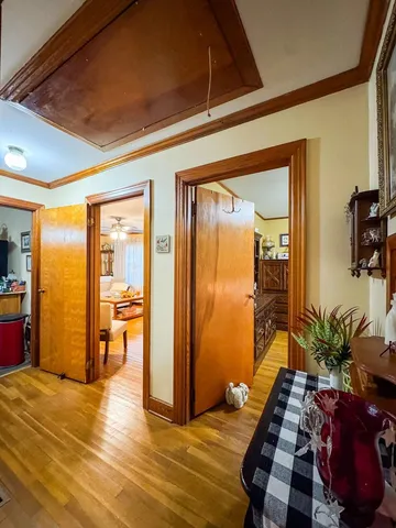 a room with furniture and a potted plant