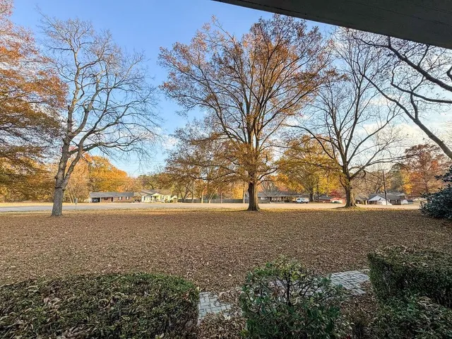 a view of an ocean with trees in the background