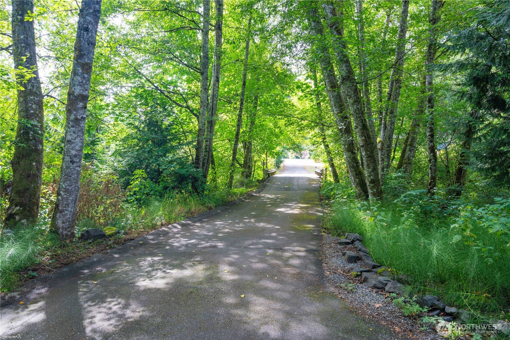 2102 Mark Street Northeast Lacey, WA 98516 - Photo 2 of 35