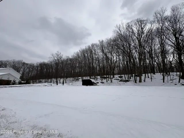 a street view covered with snow