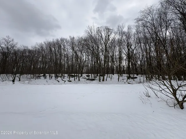 a view of outdoor space with trees