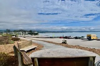a view of a yard with wooden fence