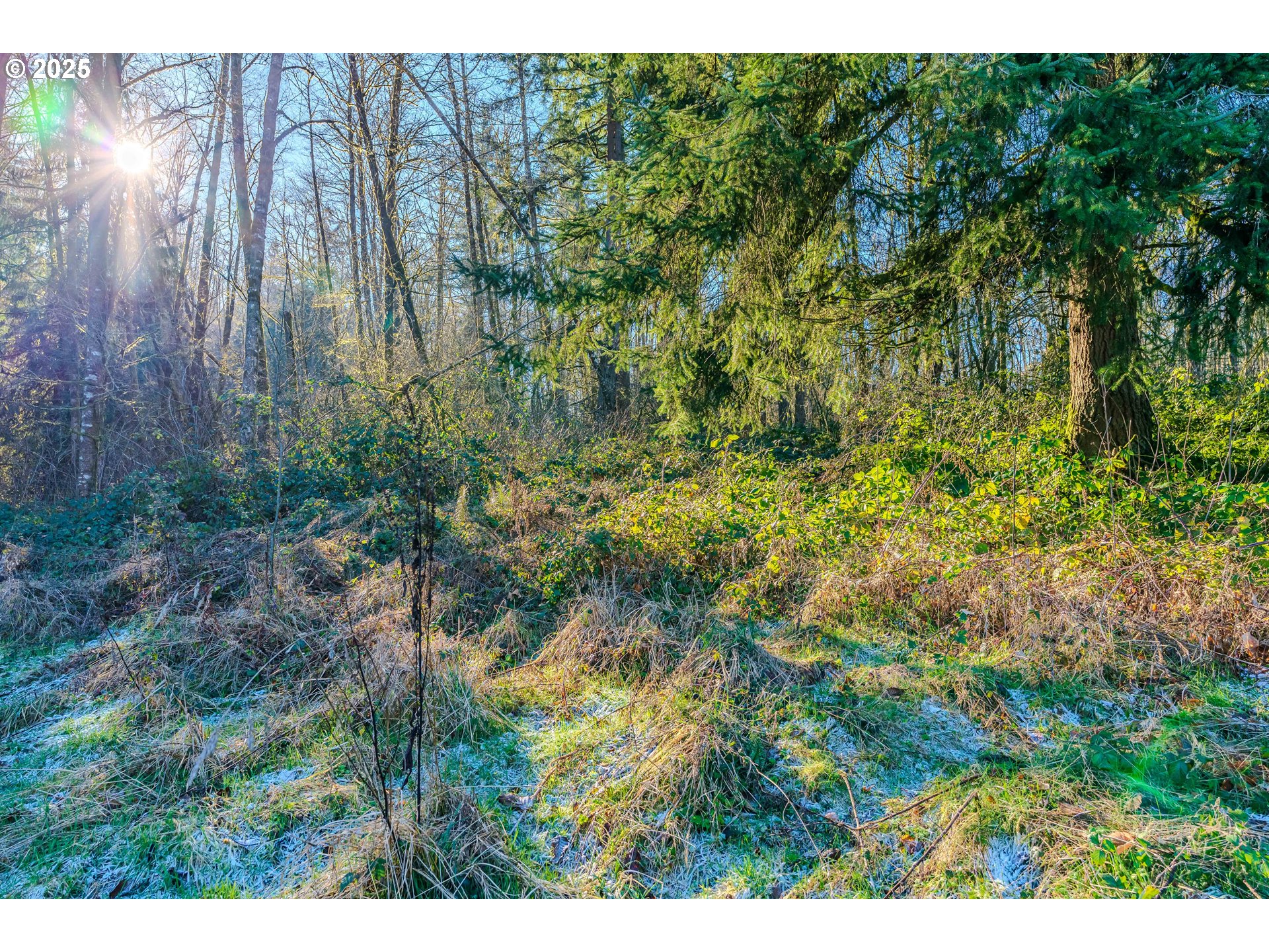 74301 Larson Road Rainier, OR 97048 - Photo 5 of 42 Gallery Image 5