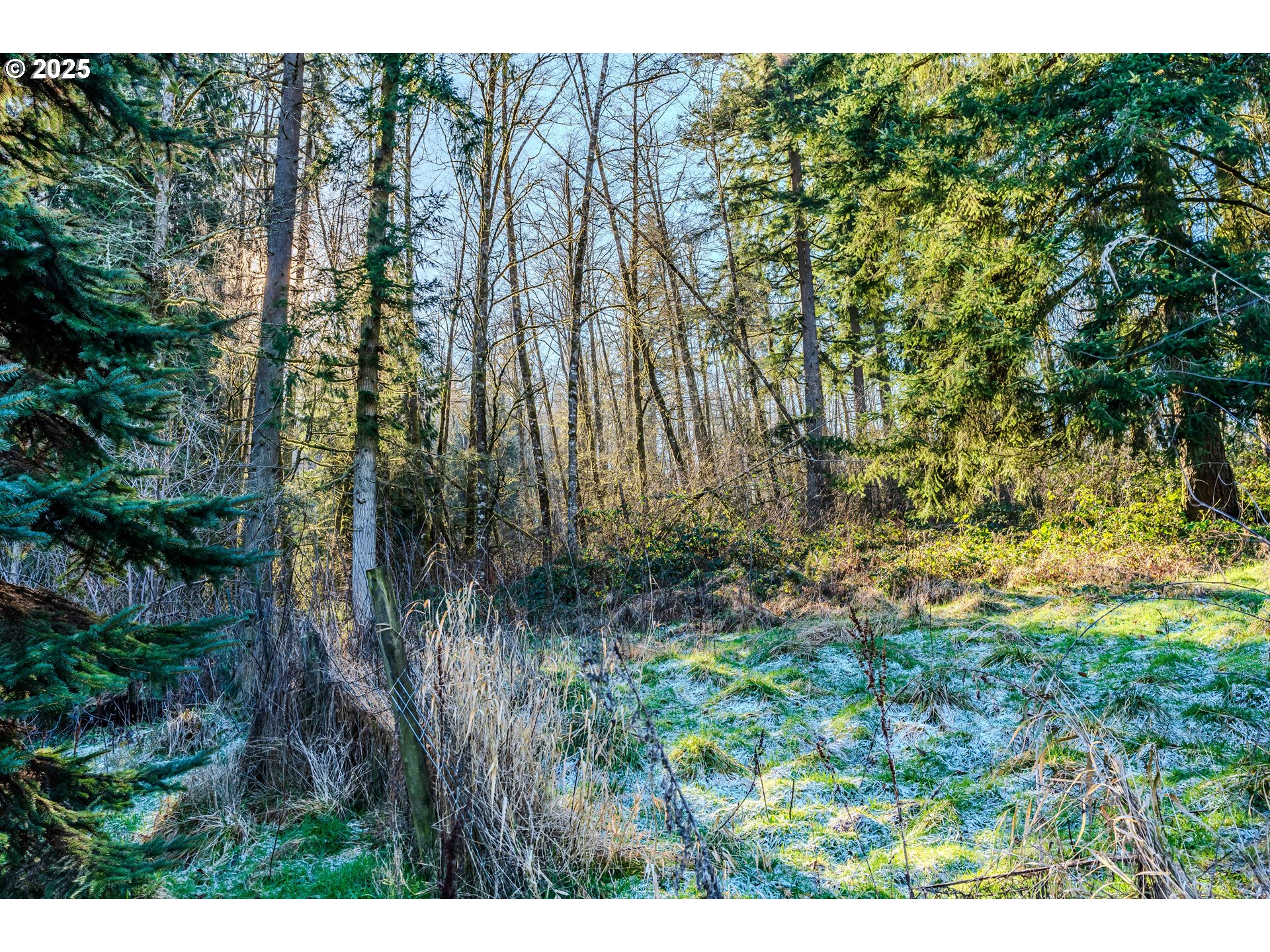 74301 Larson Road Rainier, OR 97048 - Photo 7 of 42 Gallery Image 7