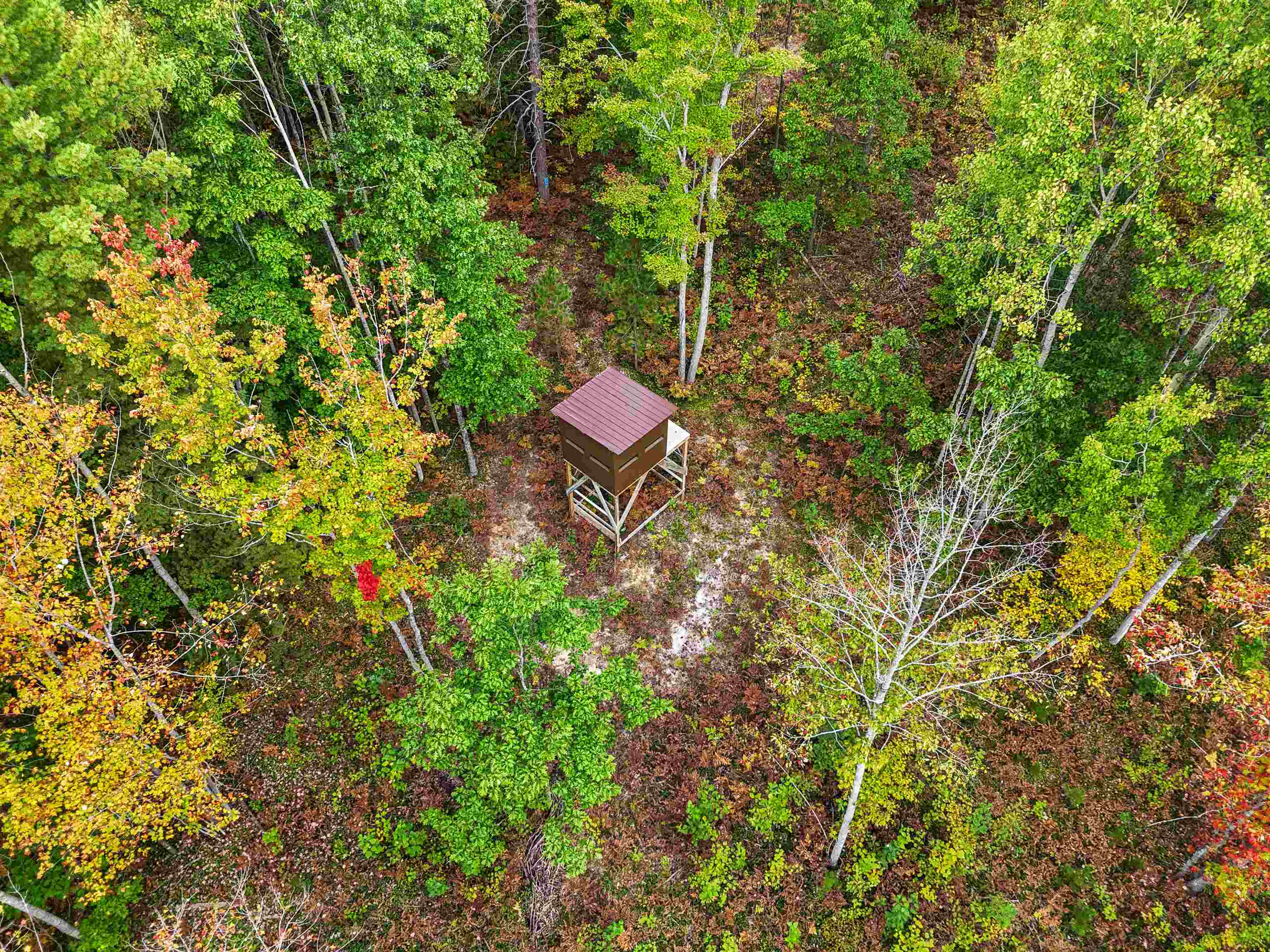 1667 East Walker Road Lake City, MI 49651 - Photo 48 of 54