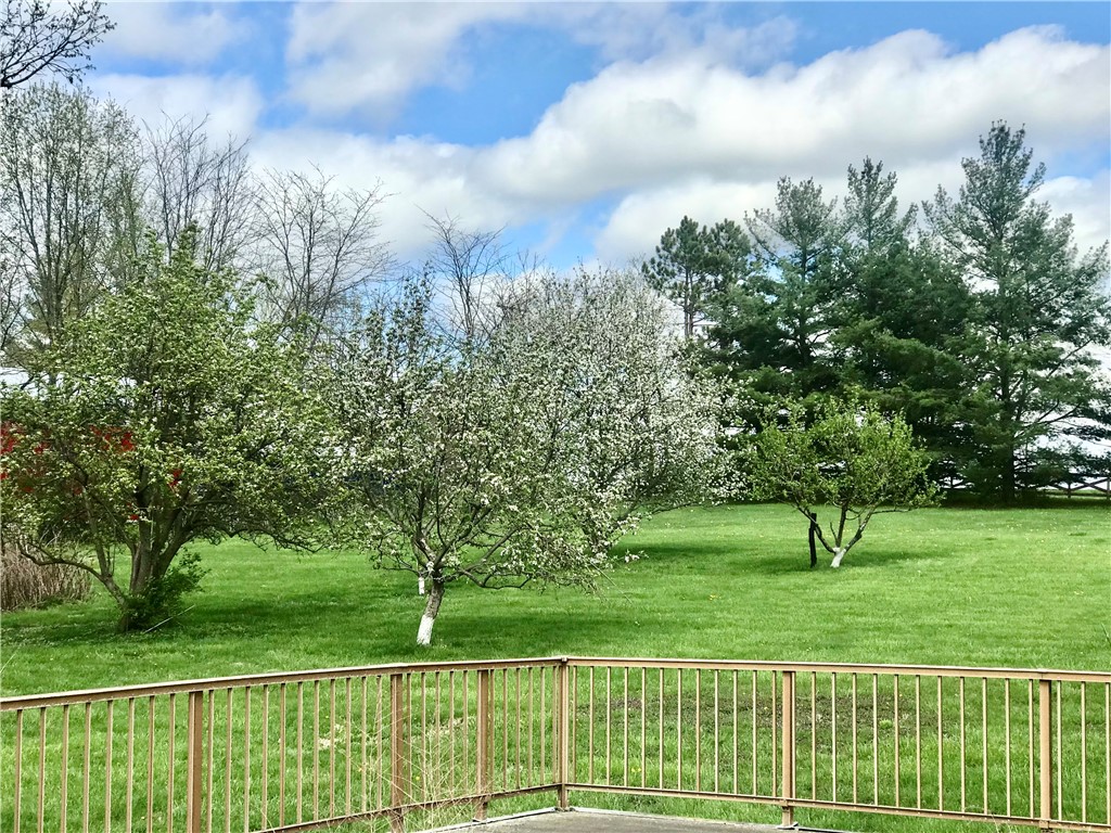 3335 Nevada Road Decatur, IL 62522 - Photo 32 of 46 5 Fruit Trees. Apple, Pear and Peach