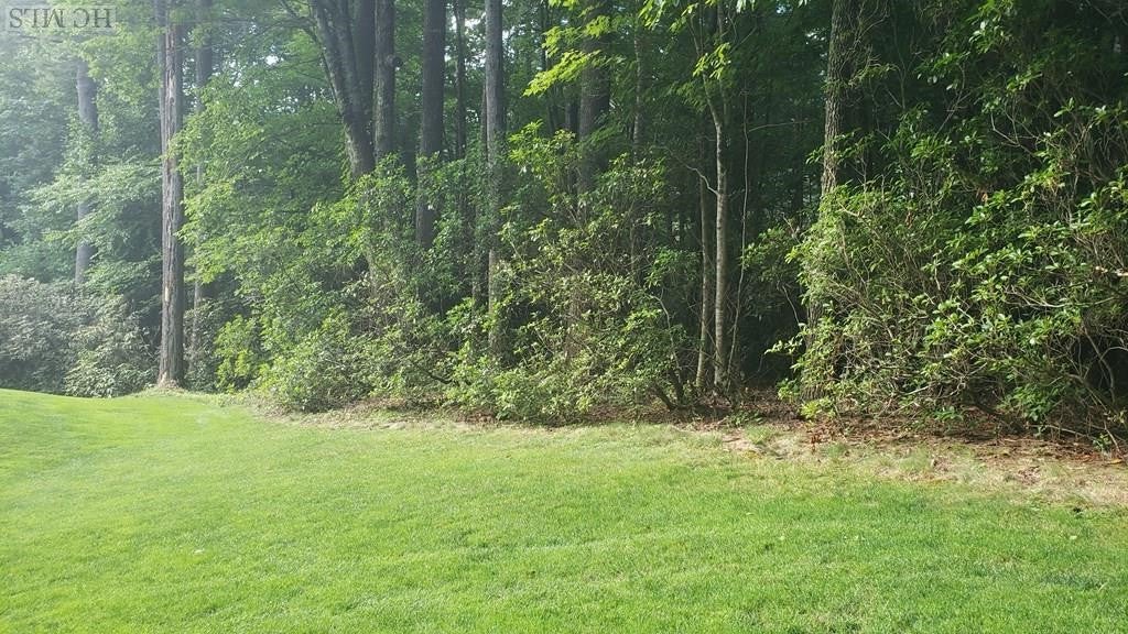 Lot 33 Lot Road Sapphire, NC 28774 - Photo 3 of 5 Gallery Image 3