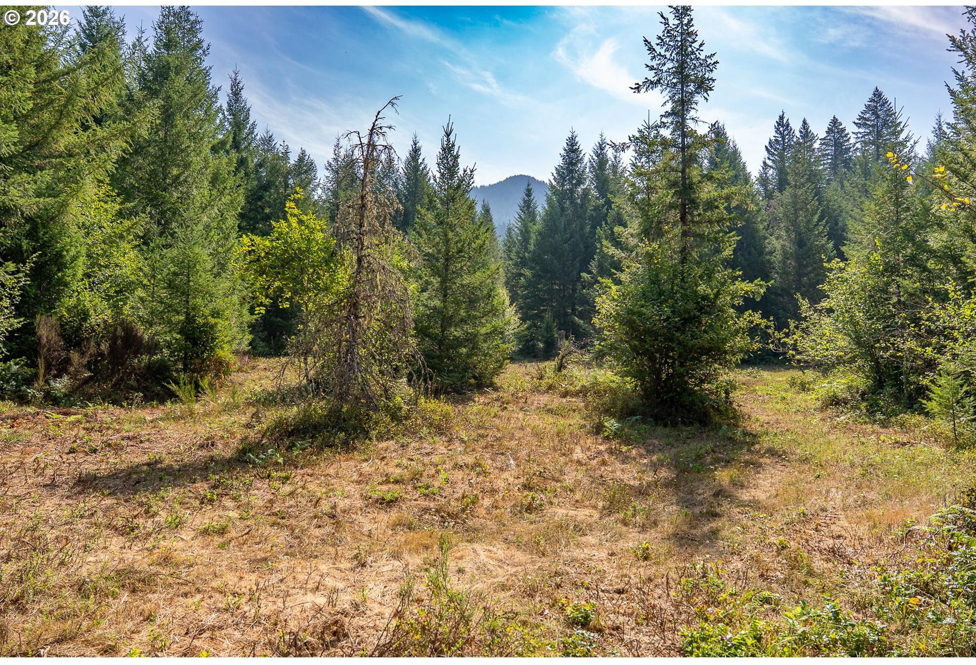 Hawk Meadows Road, Unit 4 Carson, WA 98610 - Photo 4 of 46 Gallery Image 4