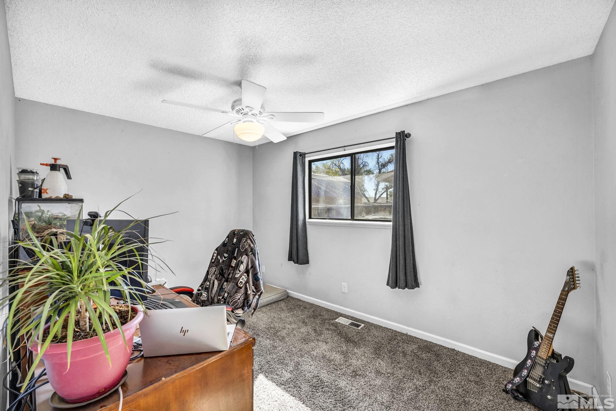 1011 Bonnie Lane Fallon, NV 89406 - Photo 21 of 31 a living room with furniture and a potted plant