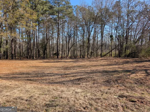 $15,000 | 115 Jones Street, LaGrange, GA 30240
