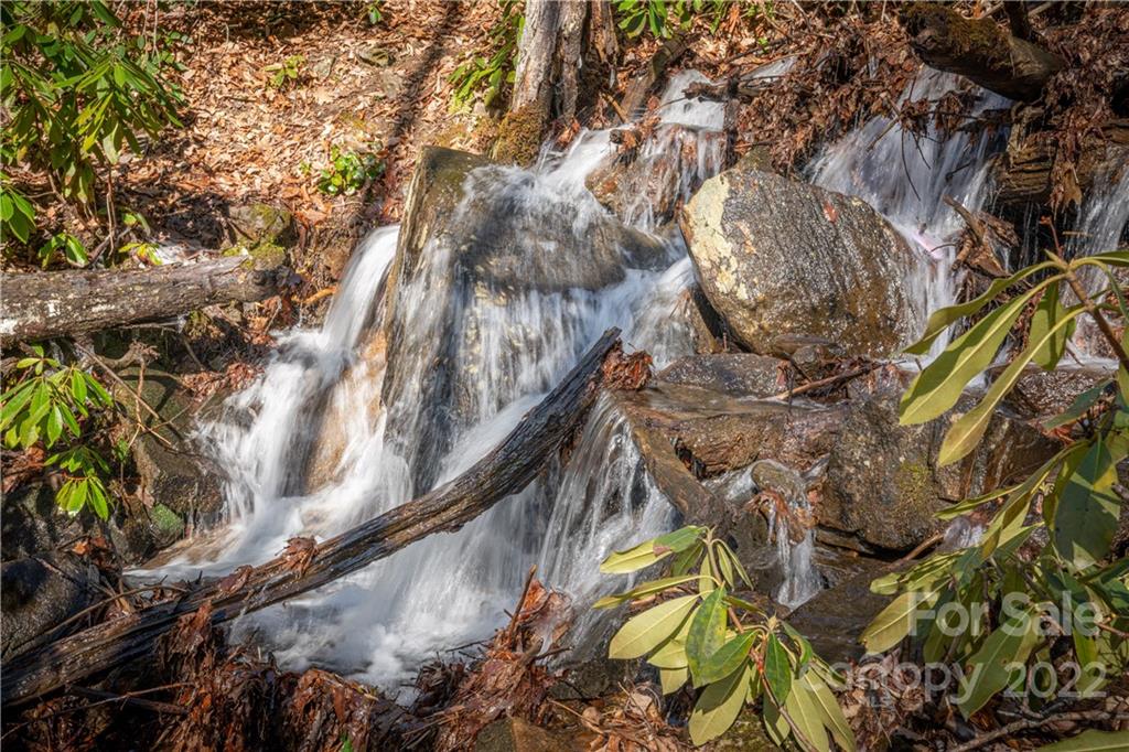 Off Old Still Road Maggie Valley, NC 28751 - Photo 11 of 24 a view of a tree with a tree
