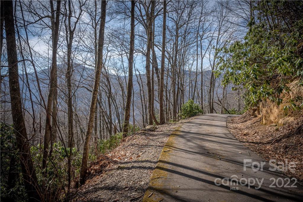 Off Old Still Road Maggie Valley, NC 28751 - Photo 15 of 24 a view of backyard with trees