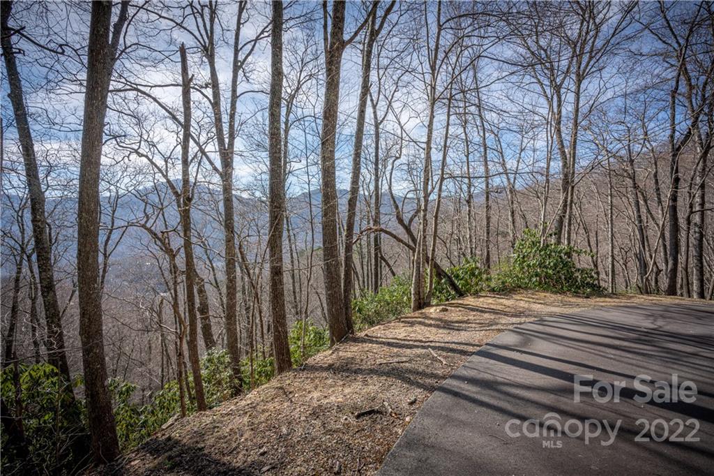 Off Old Still Road Maggie Valley, NC 28751 - Photo 16 of 24 a view of backyard with green space