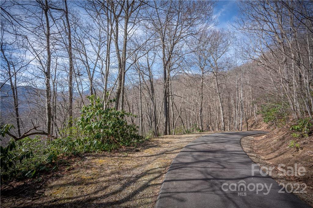 Off Old Still Road Maggie Valley, NC 28751 - Photo 18 of 24 a view of backyard with large trees