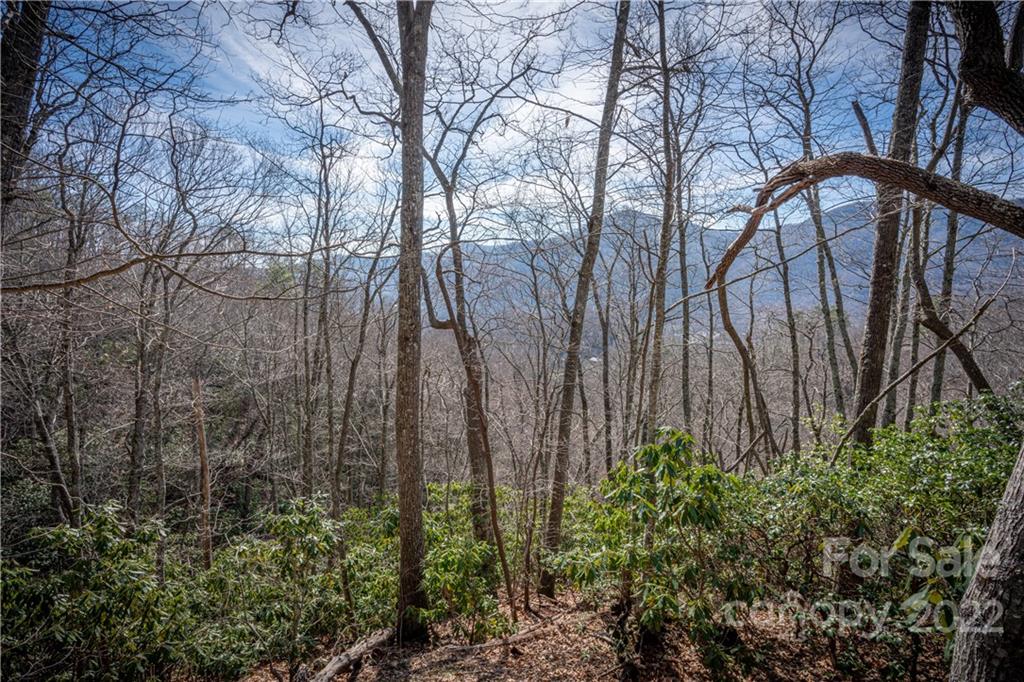 Off Old Still Road Maggie Valley, NC 28751 - Photo 19 of 24 a backyard of a house with lots of green space