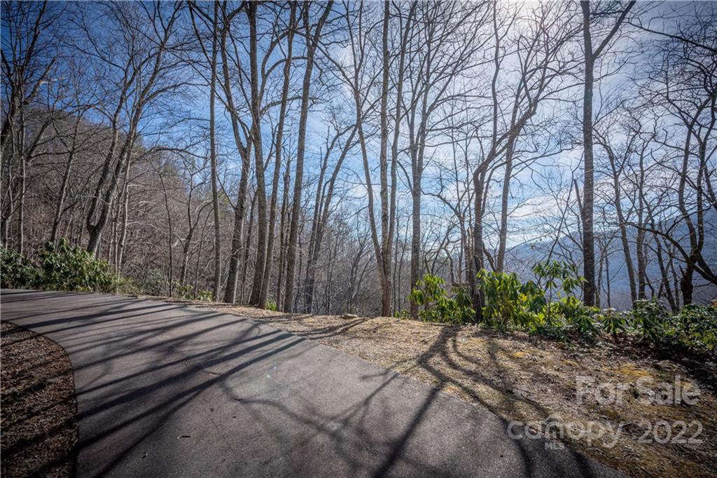 Off Old Still Road Maggie Valley, NC 28751 - Photo 20 of 24 a backyard of a house with lots of green space