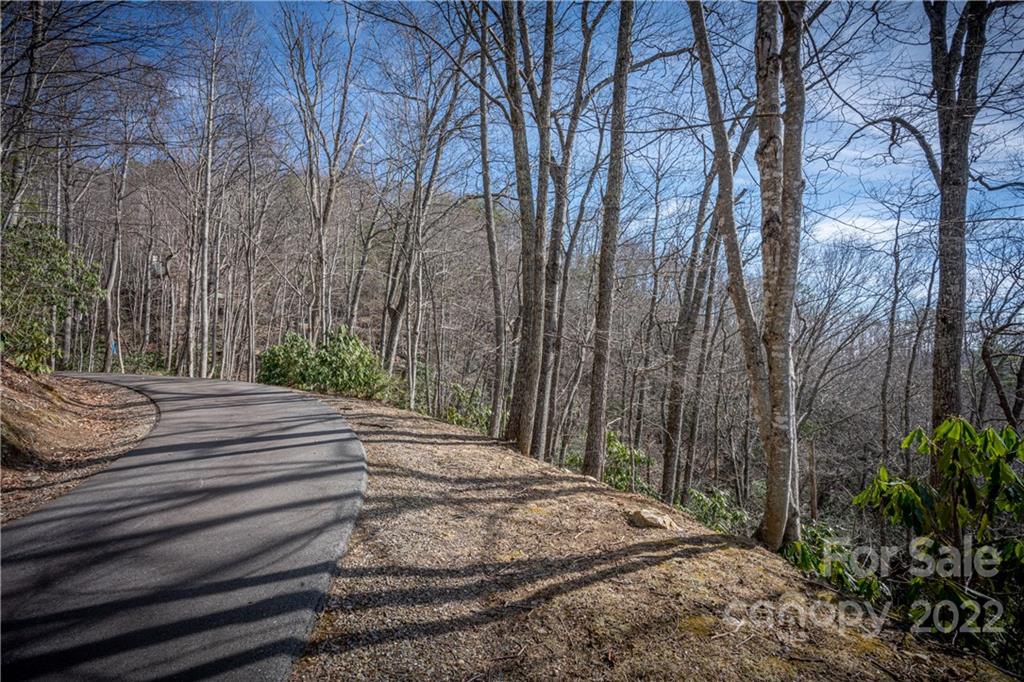 Off Old Still Road Maggie Valley, NC 28751 - Photo 21 of 24 a view of a backyard with pathway