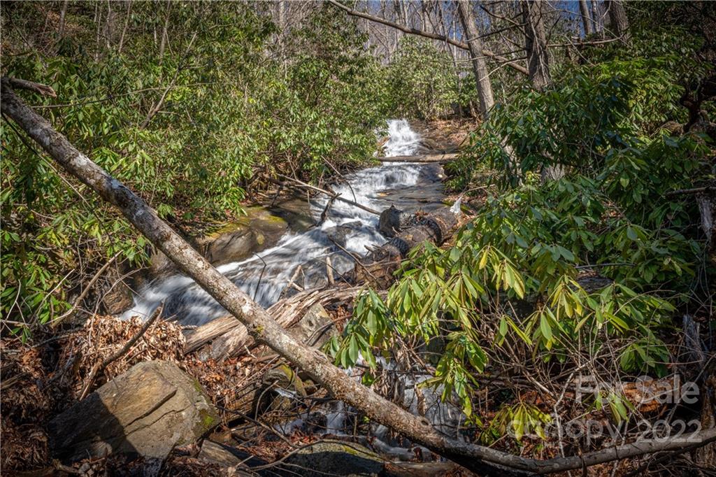 Off Old Still Road Maggie Valley, NC 28751 - Photo 4 of 24 a view of a tree with a tree