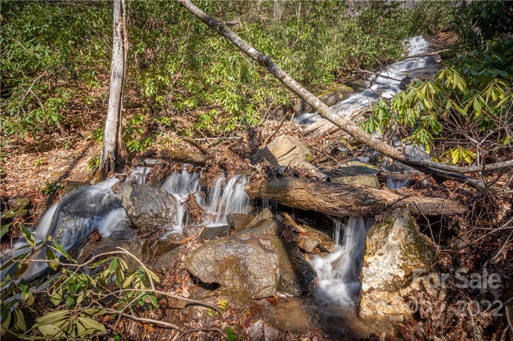 Off Old Still Road Maggie Valley, NC 28751 - Photo 7 of 24 a view of a tree with plants and wooden fence