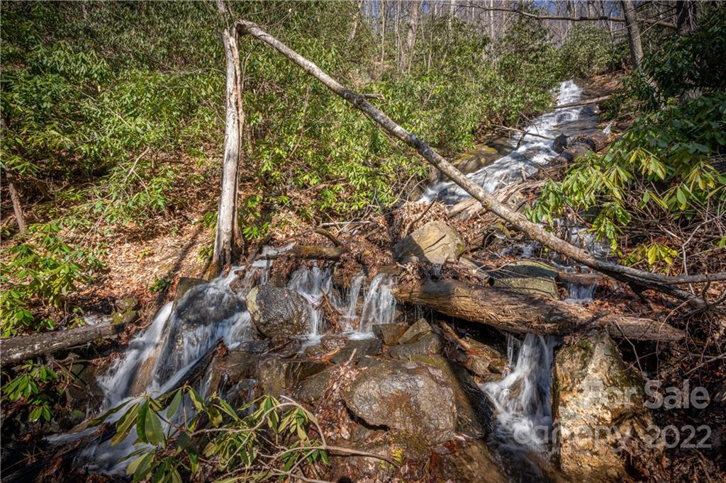 Off Old Still Road Maggie Valley, NC 28751 - Photo 9 of 24 a view of a tree in a forest