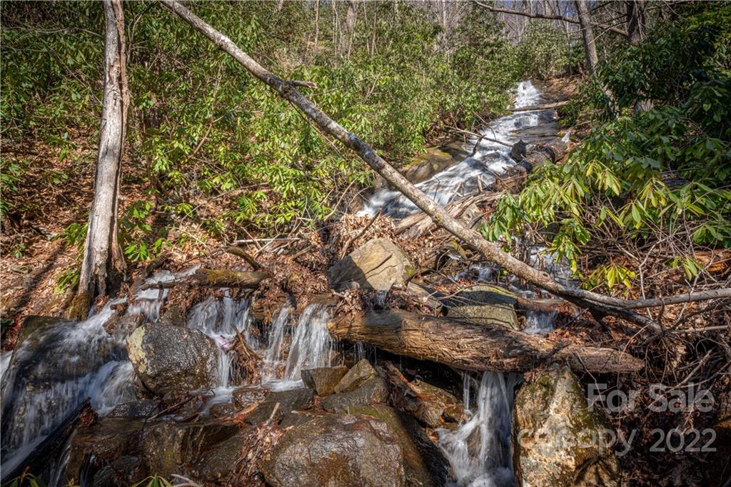 Off Old Still Road Maggie Valley, NC 28751 - Photo 10 of 24 a backyard of a house with large trees and plants