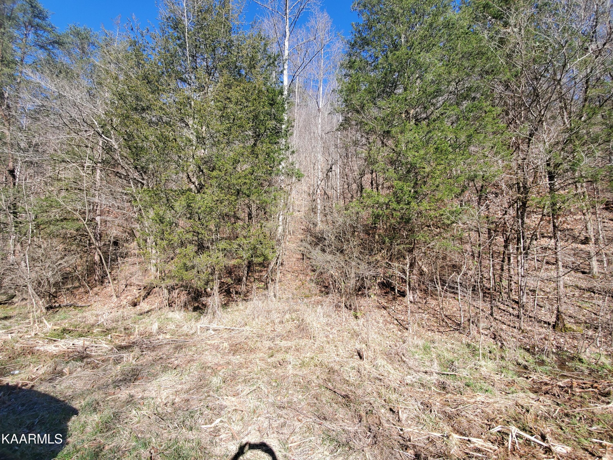 0 Walker Ford Road Maynardville, TN 37807 - Photo 5 of 17 Gallery Image 5