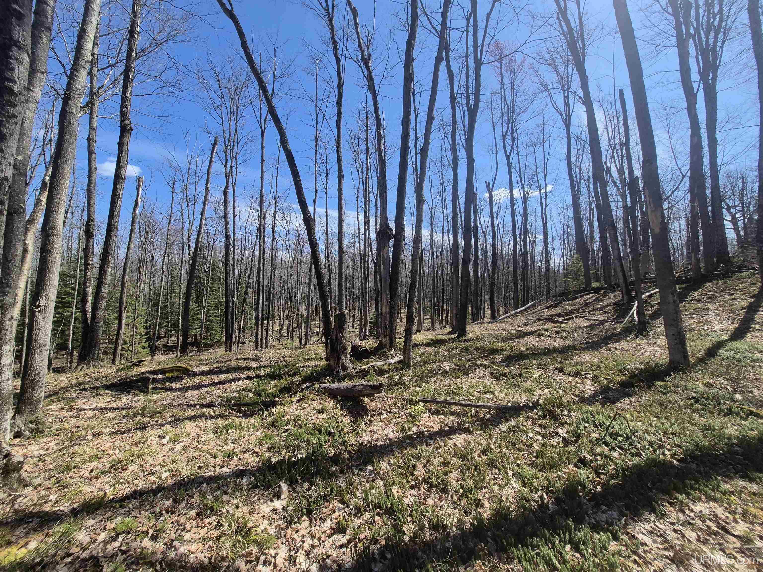 12-acres Salmon Road L'Anse, MI 49946 - Photo 27 of 39