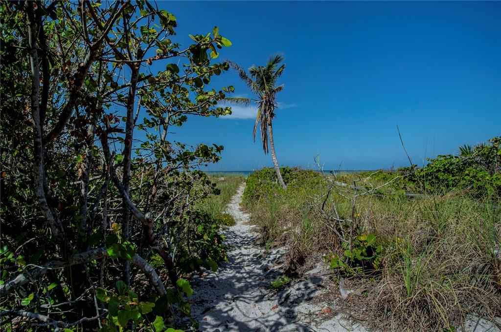 8864 Bay Street Boca Grande, FL 33921 - Photo 17 of 25 a view of a garden