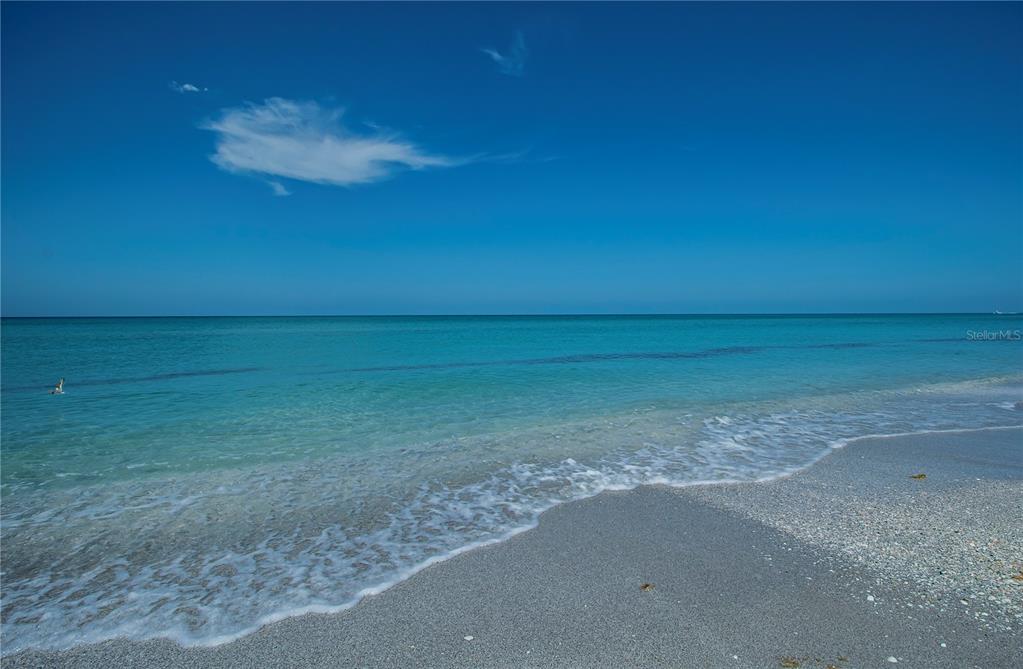 8864 Bay Street Boca Grande, FL 33921 - Photo 19 of 25 a view of a big yard