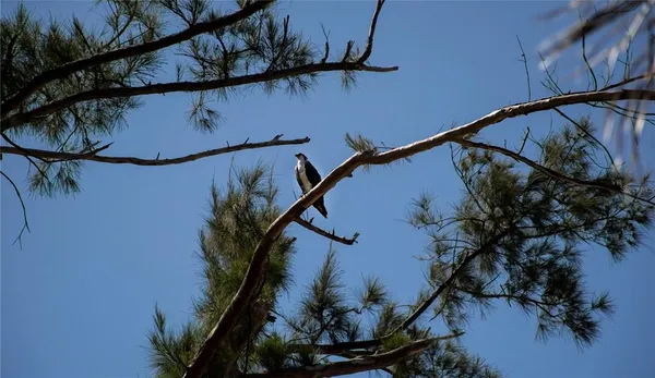 $85,000 | 8864 Bay Street, Boca Grande, FL 33921