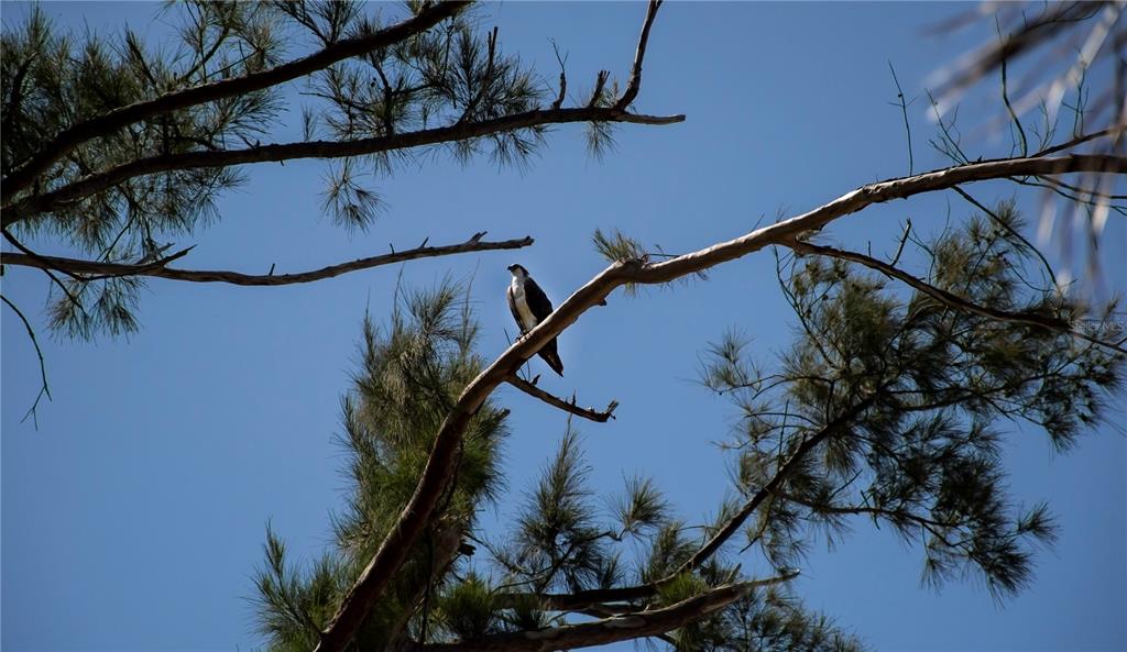 8864 Bay Street Boca Grande, FL 33921 - Photo 24 of 25 a view of entryway