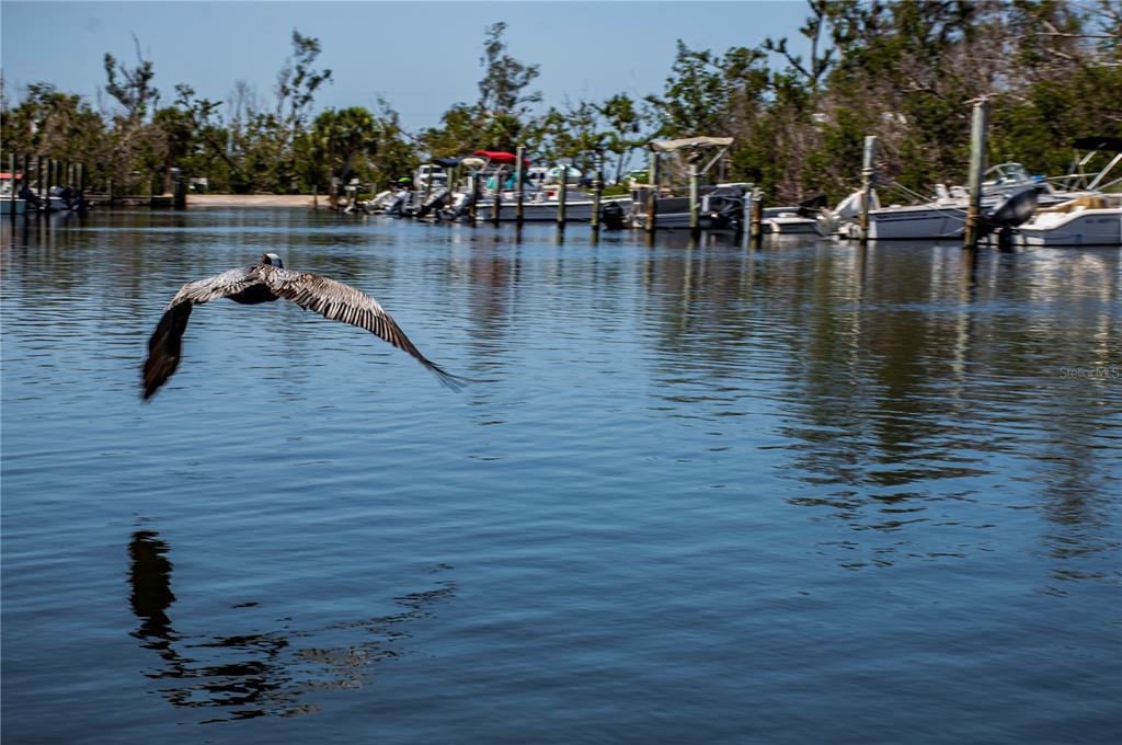 8864 Bay Street Boca Grande, FL 33921 - Photo 25 of 25 a view of lake