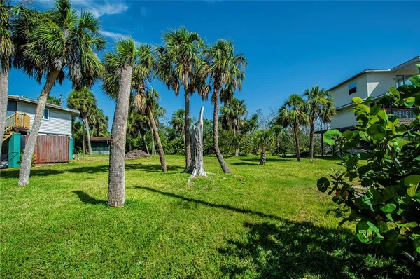 a view of a backyard with a palm trees