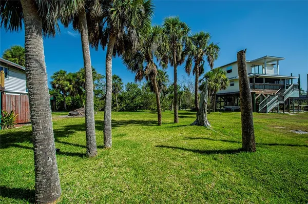a view of a backyard with palm trees