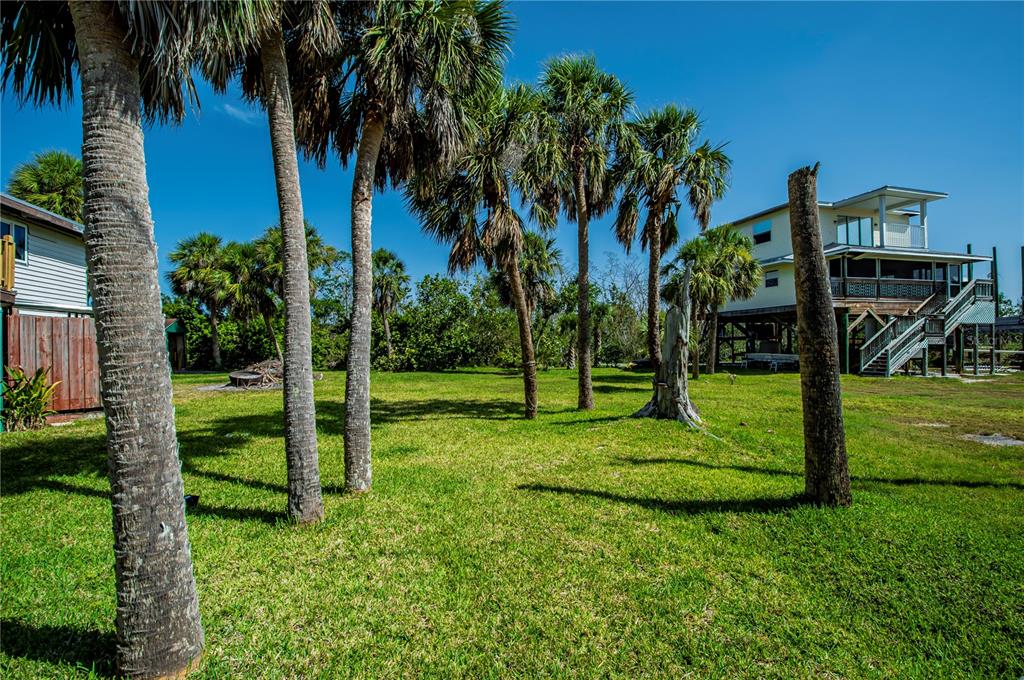 8864 Bay Street Boca Grande, FL 33921 - Photo 6 of 25 a view of a backyard with palm trees