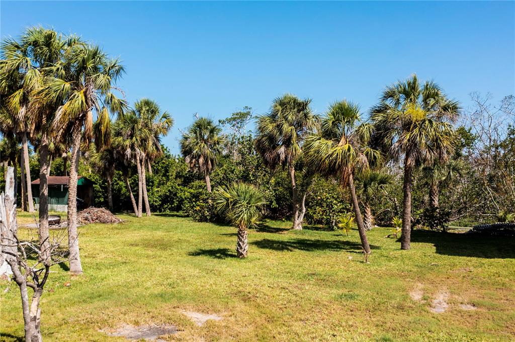 8864 Bay Street Boca Grande, FL 33921 - Photo 8 of 25 a view of swimming pool with a yard