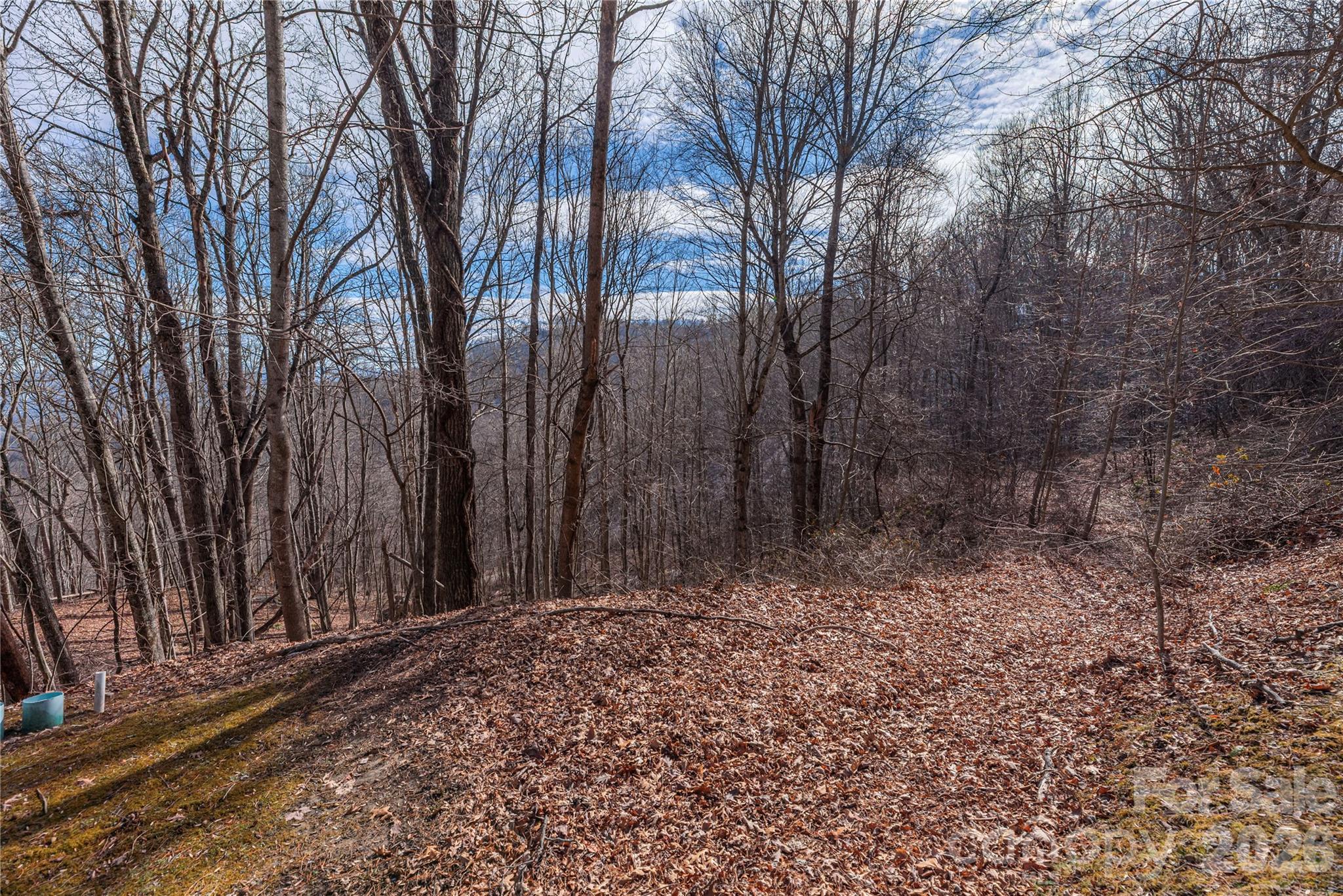 0 Utah Mountain Road, Unit 25 Waynesville, NC 28785 - Photo 6 of 7 a view of a backyard of the house