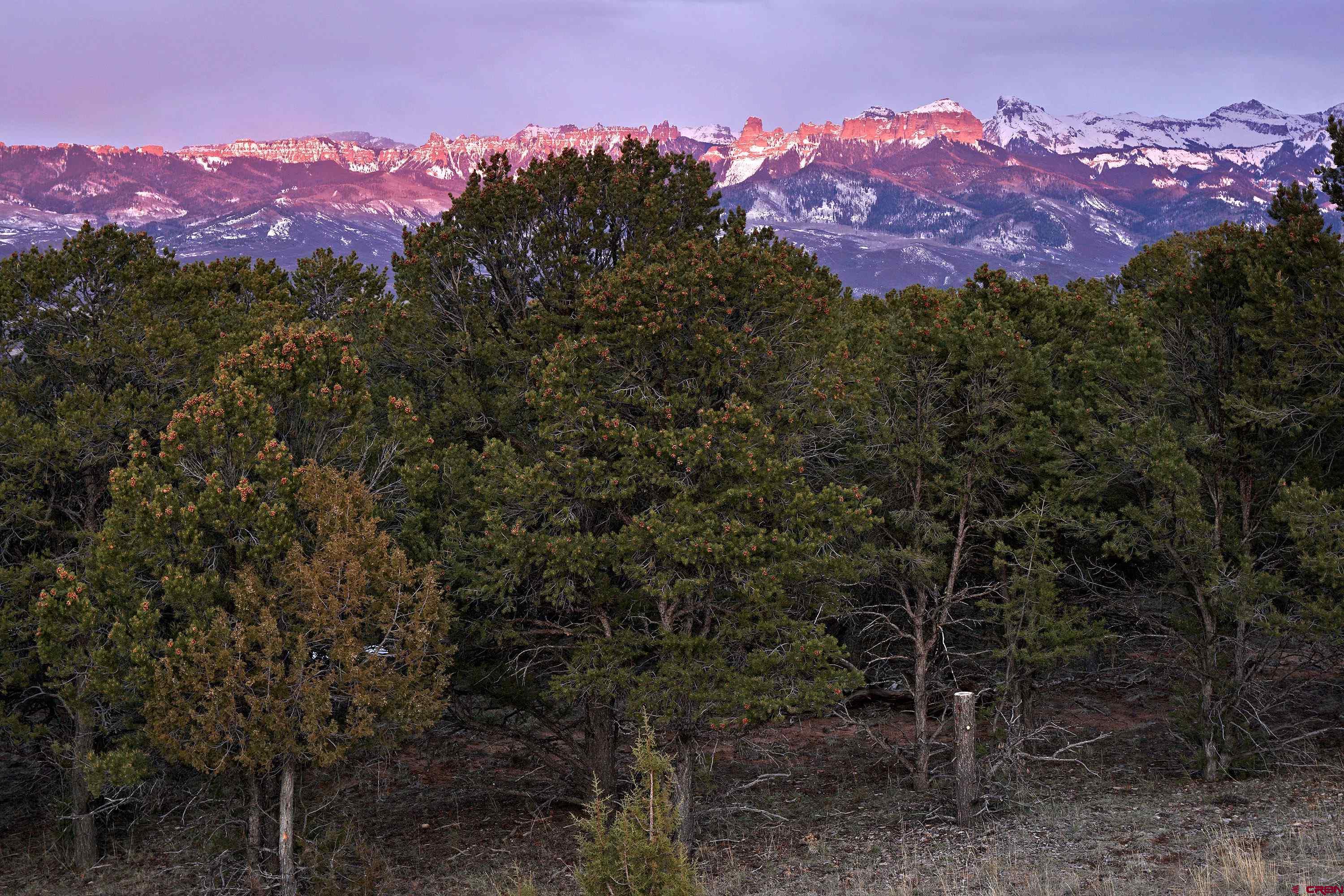 225 Oak Road Ridgway, CO 81432 - Photo 4 of 18 Gallery Image 4