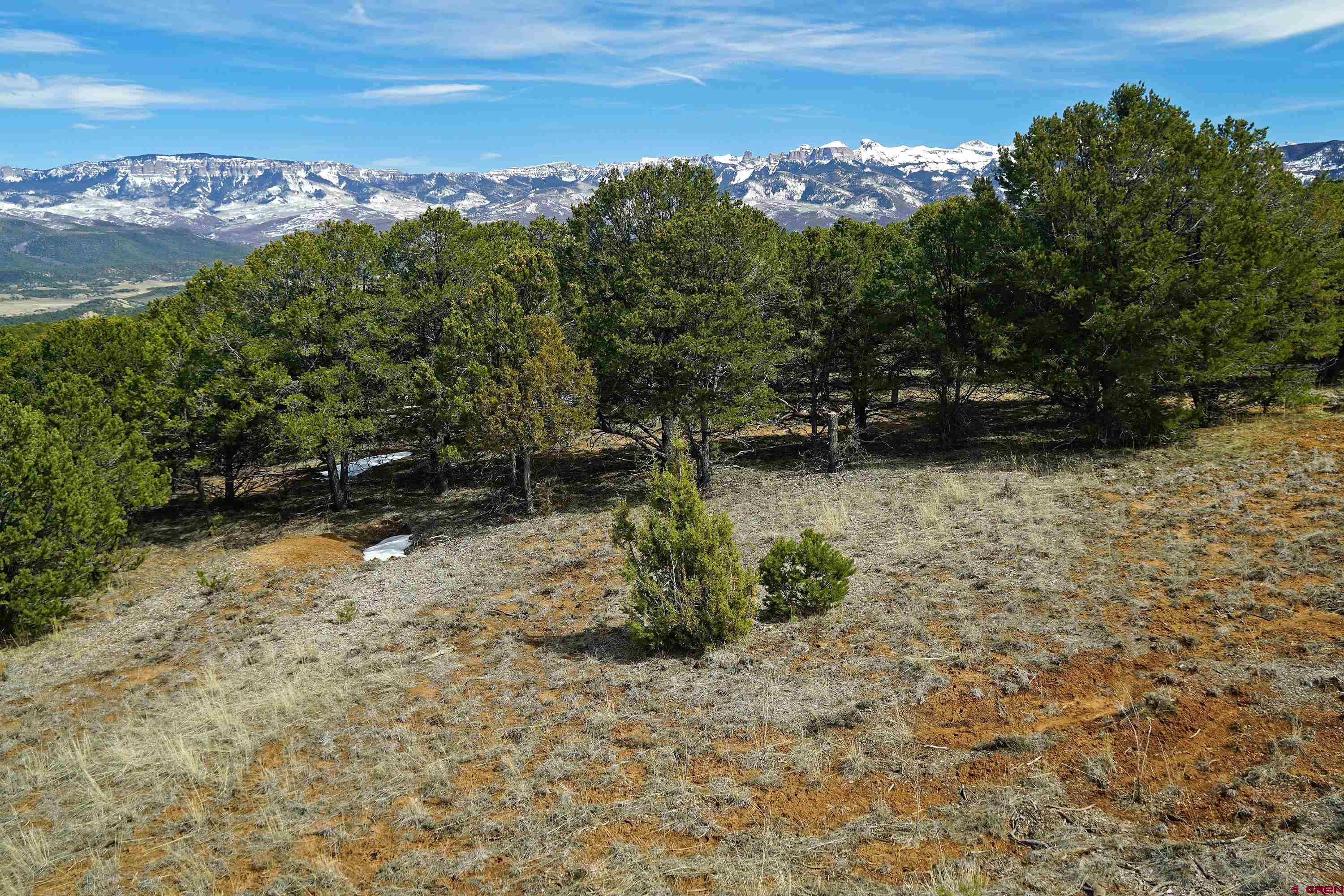225 Oak Road Ridgway, CO 81432 - Photo 10 of 18 Gallery Image 10
