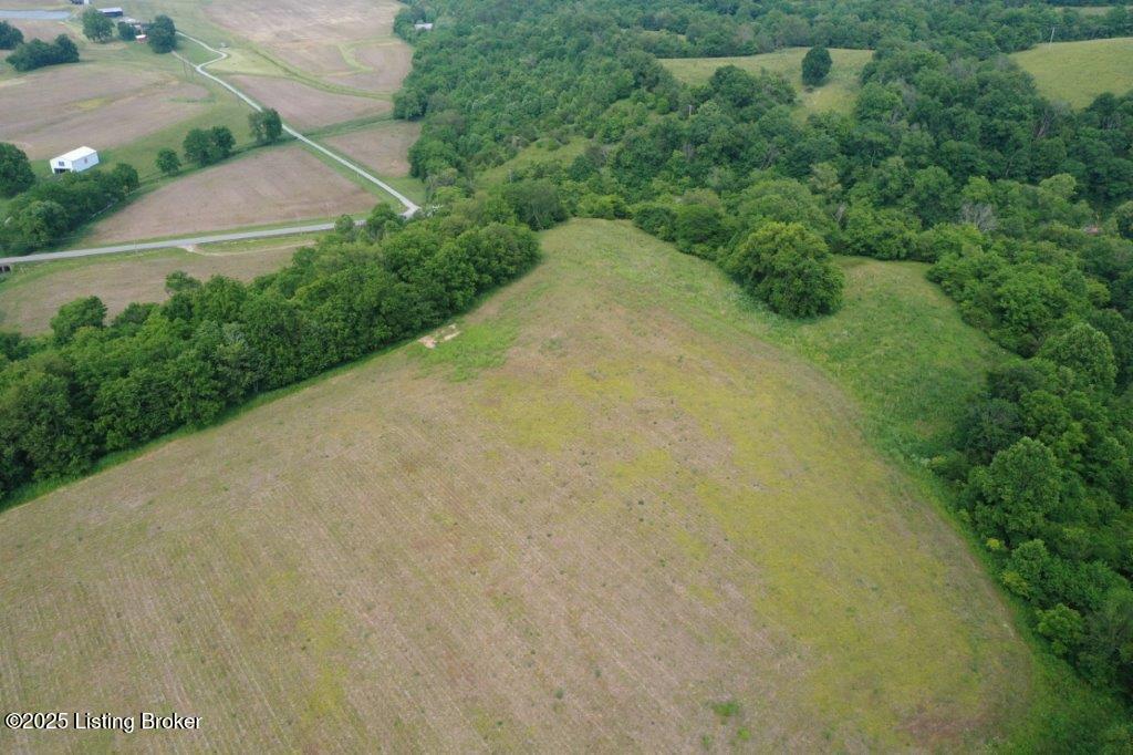10001 Bloomfield Road Springfield, KY 40069 - Photo 12 of 19 DJI_0311