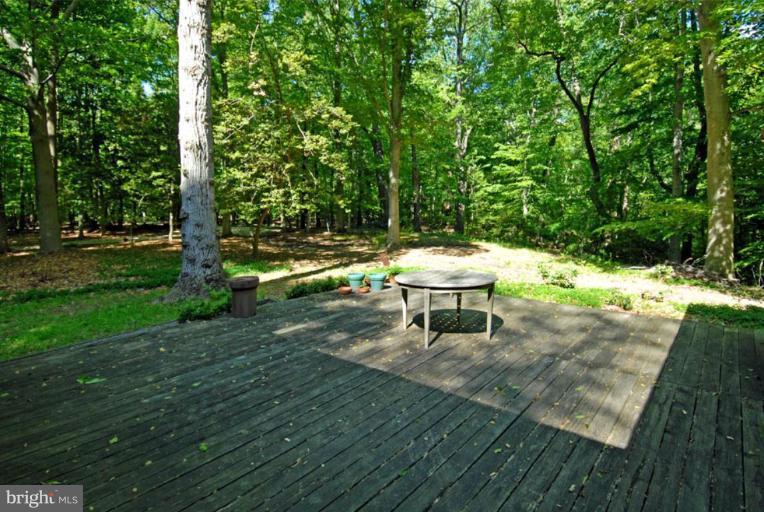 2501 Rockwood Road Accokeek, MD 20607 - Photo 2 of 19 Deck