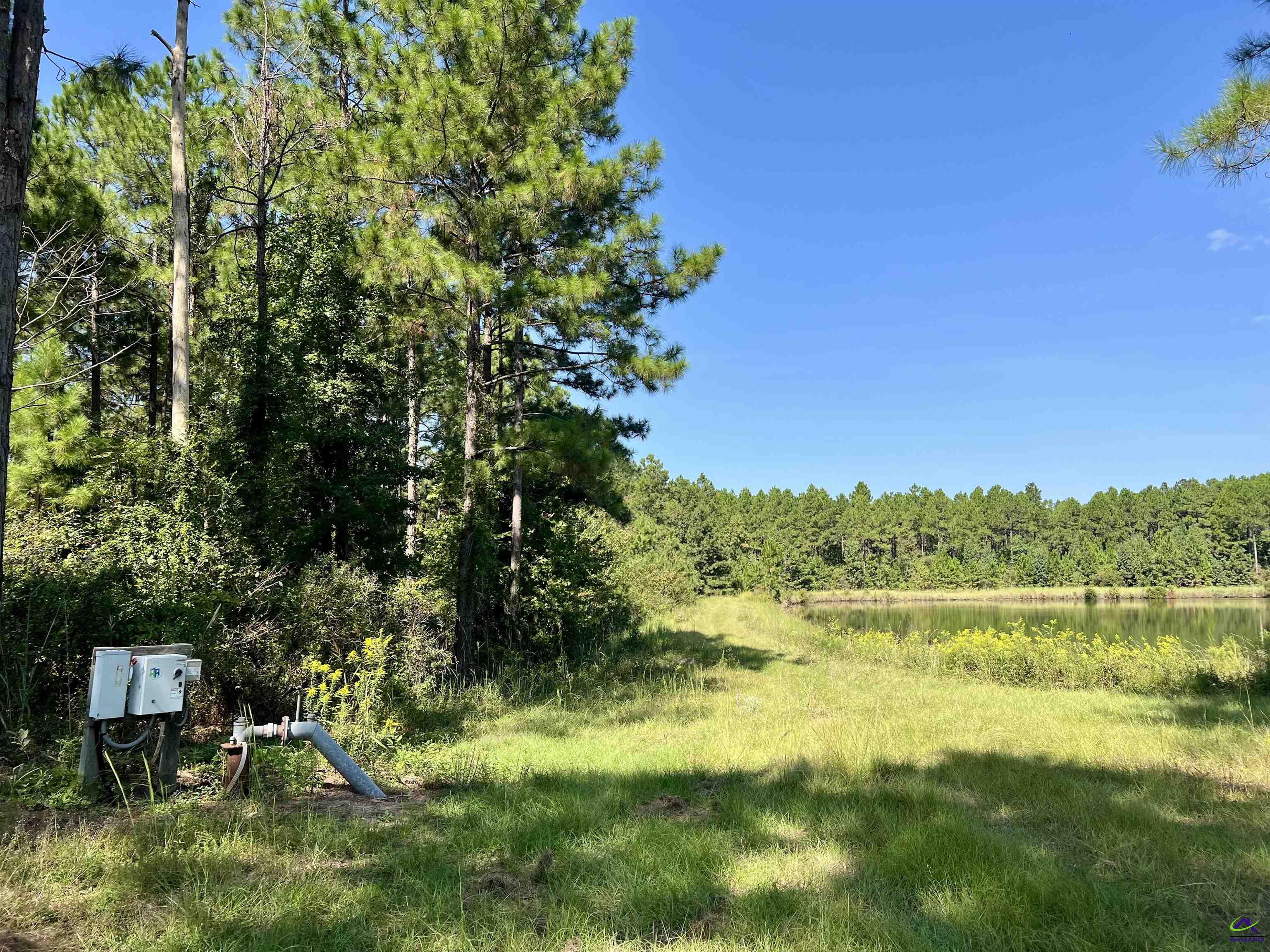 762 Nicholson-Carr Road Chester, GA 31012 - Photo 75 of 81