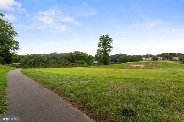 a view of a field with a tree in the background