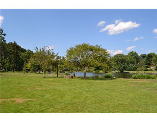 58 Arch Street Riverside, CT 06878 - Photo 11 of 13 a backyard of a house with lots of green space and ocean view