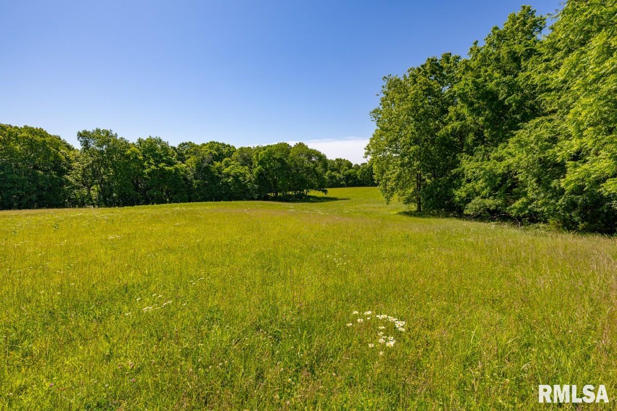 7550 Highway 45 Vienna, IL 62995 - Photo 52 of 56